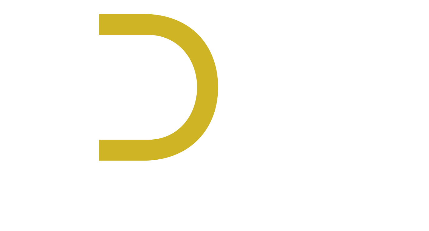 DZ CONSULTING